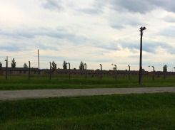 Barracks at Auschwitz II-Birkenau