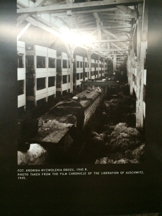 Original Barracks In "Bathroom" In Auschwitz II-Birkenau