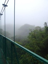Selvatura Hanging Bridges Tour
