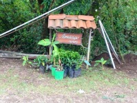 Don Juan Coffee and Chocolate Farm
